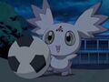 DT05 Culumon 2.JPG