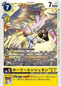 Dcg-BT25-040.jpg