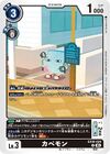 Dcg-EX10-024.jpg