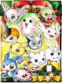 Digimon Collectors Babies Card.jpg