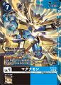 Dcg-ST17-13 2.jpg