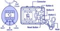 Thumbnail for version as of 01:46, 1 May 2025