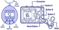 Tamagotchi basics.jpg
